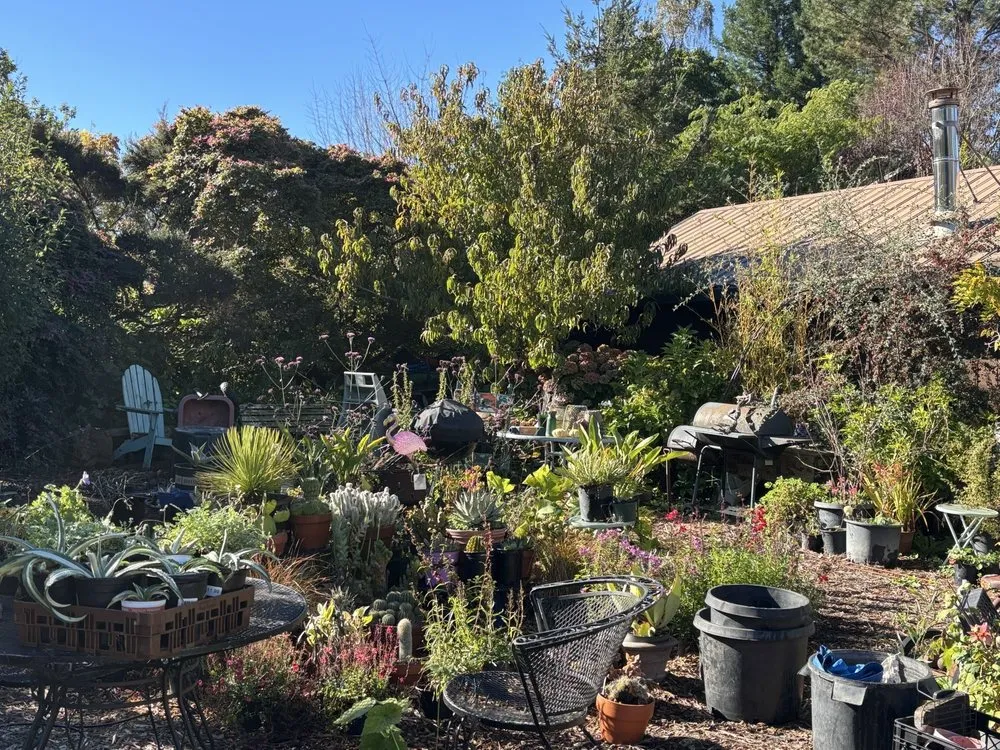 Professional outdoor landscaping in Sebastopol, CA by Greenman Nursery