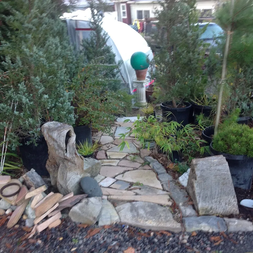 Reliable landscape installation near you in Sebastopol, CA by Greenman Nursery