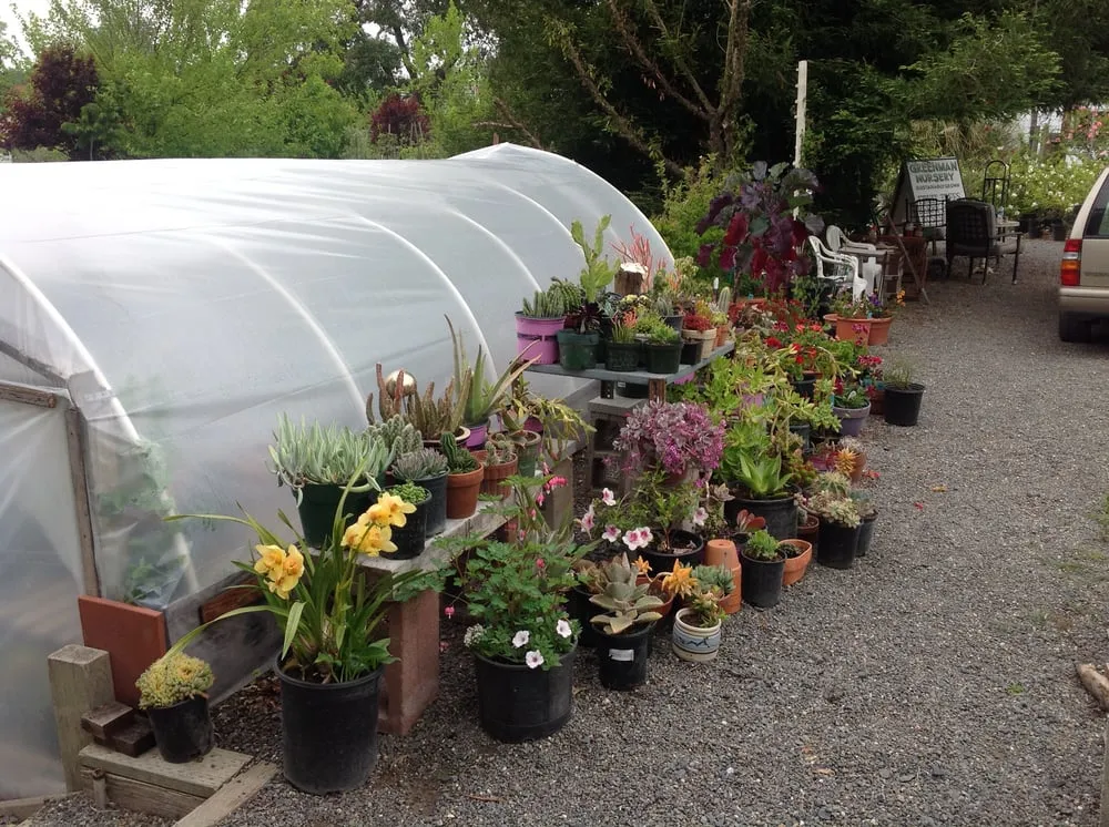Custom landscaping services for year-round maintenance in Sebastopol, CA by Greenman Nursery