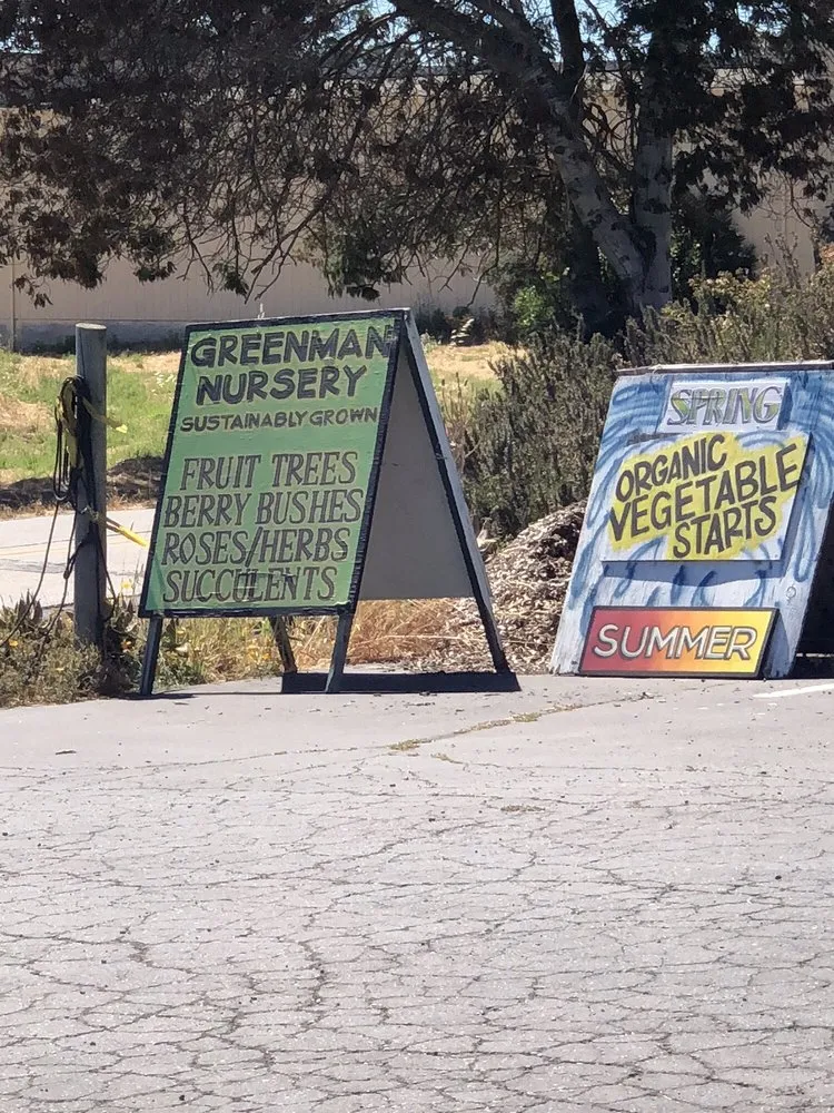 Reliable yard cleanup service experts serving Sebastopol, CA - Greenman Nursery