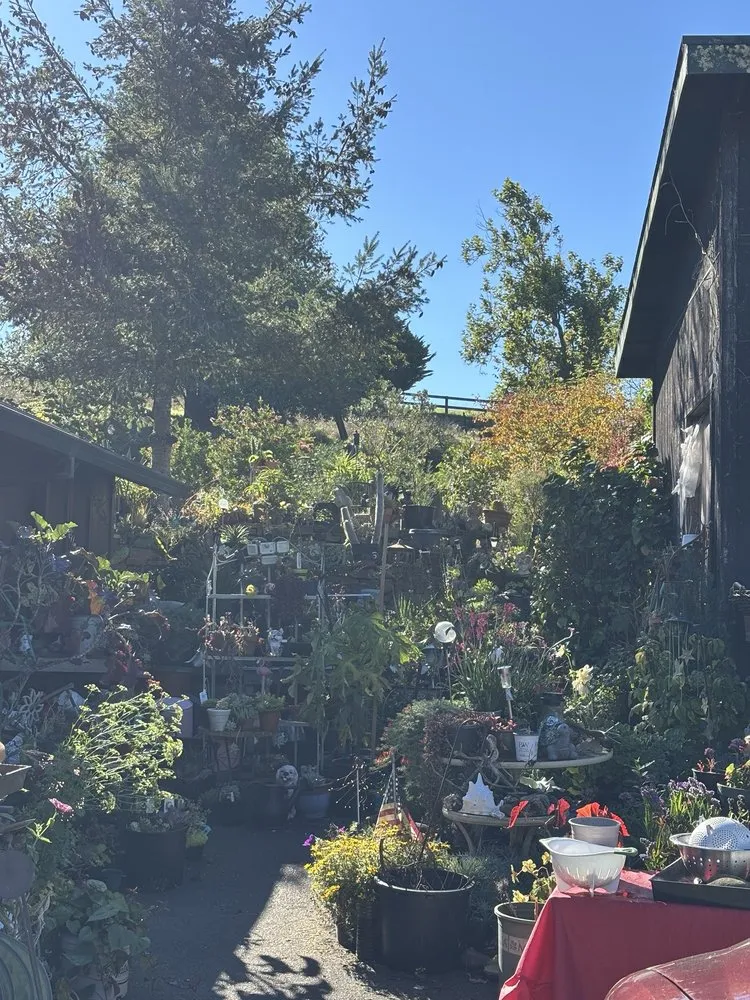 Trusted residential landscaping for homes across Sebastopol, CA - Greenman Nursery