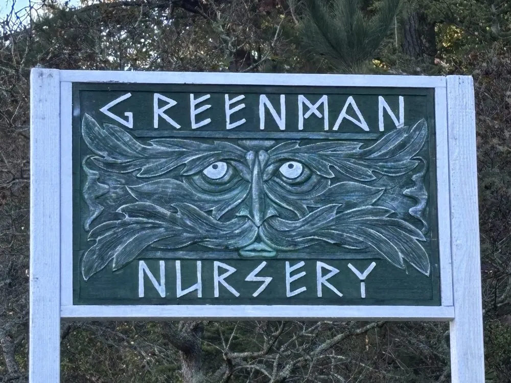 Reliable outdoor landscaping for beautiful yards in Sebastopol, CA by Greenman Nursery