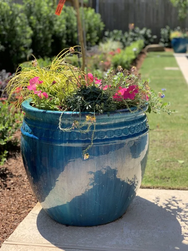 Affordable outdoor landscaping for year-round maintenance across Rosenberg, TX - GreenMark Environmental