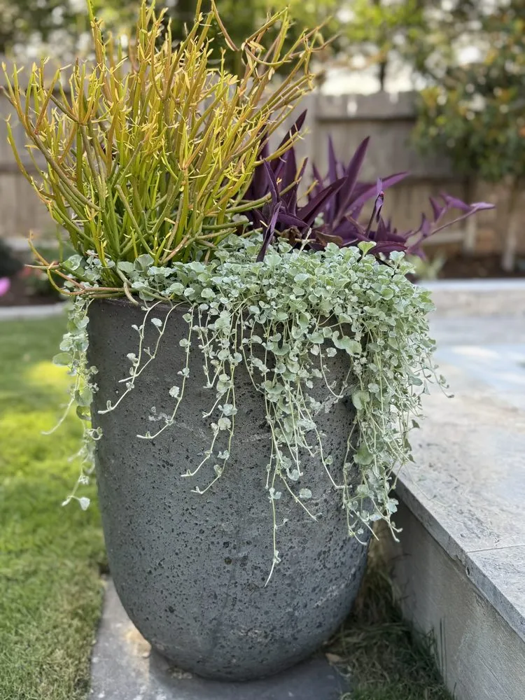 Affordable landscape design in Rosenberg, TX - GreenMark Environmental