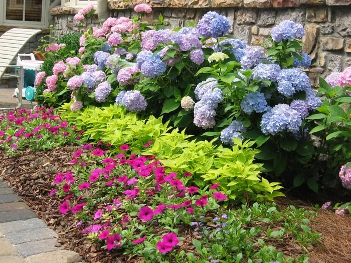 Top-rated yard cleanup service experts serving Atlanta, GA - Greenmark Landscaping and Maintenance, Inc.