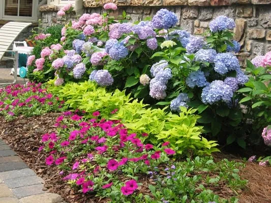 Greenmark Landscaping and Maintenance, Inc. Logo