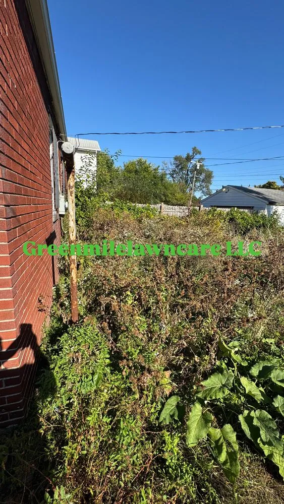 Trusted lawn care service in Detroit, MI - GreenMile Lawncare