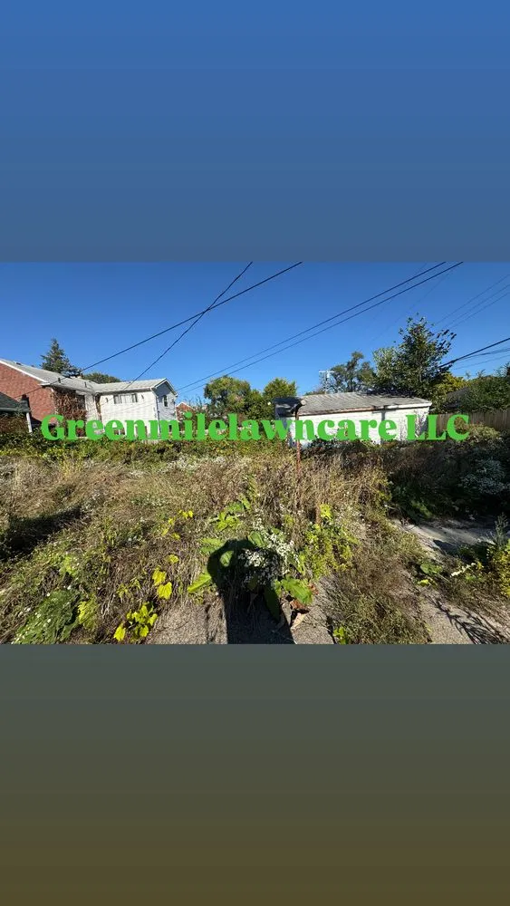 Professional lawn care service for homes across Detroit, MI - GreenMile Lawncare