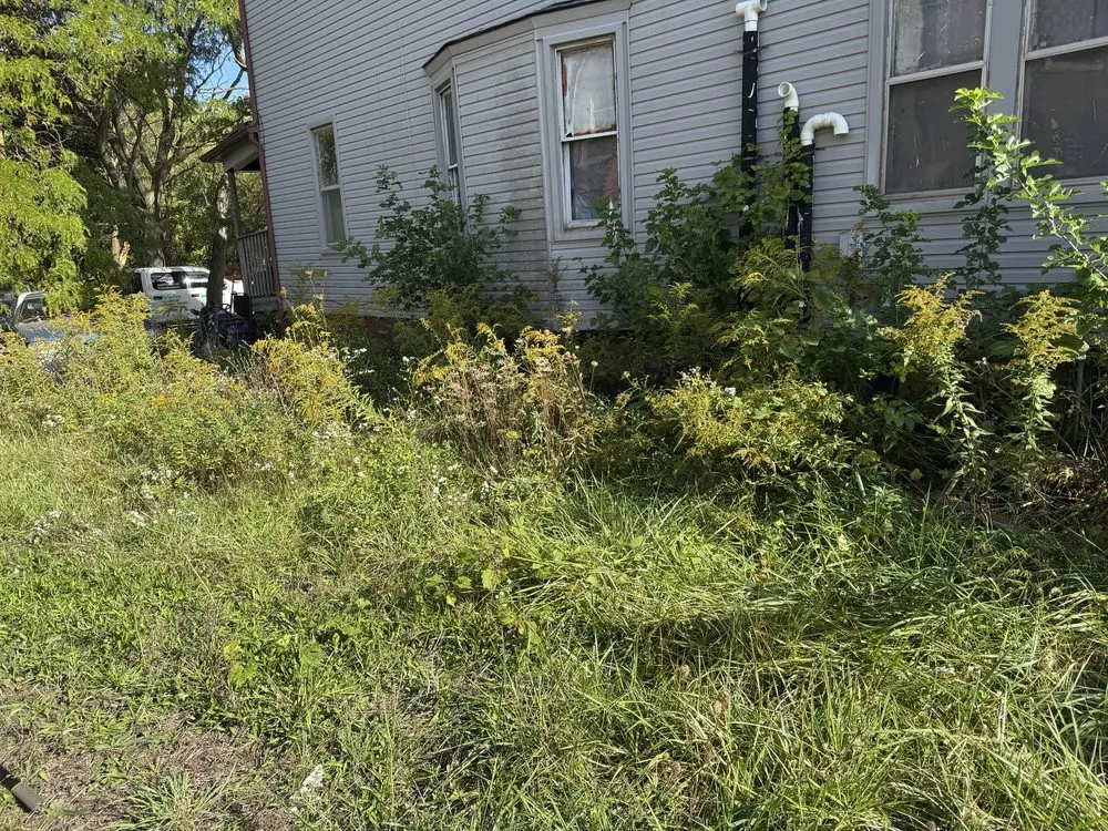 Custom garden landscaping for outdoor upgrades in Detroit, MI by GreenMile Lawncare