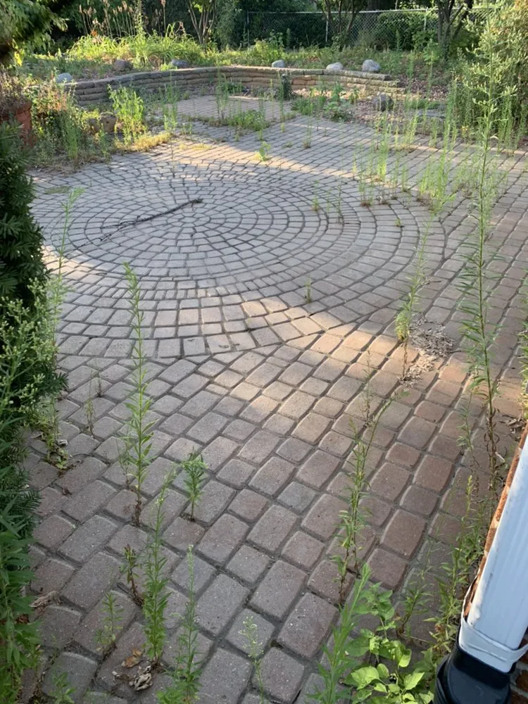 Reliable yard cleanup service in Detroit, MI by GreenMile Lawncare