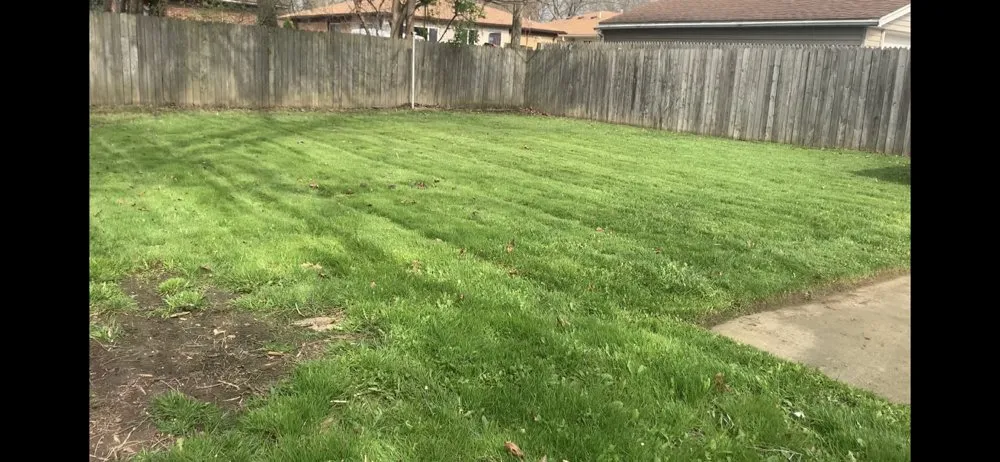 Trusted yard cleanup service for beautiful yards across Detroit, MI - GreenMile Lawncare