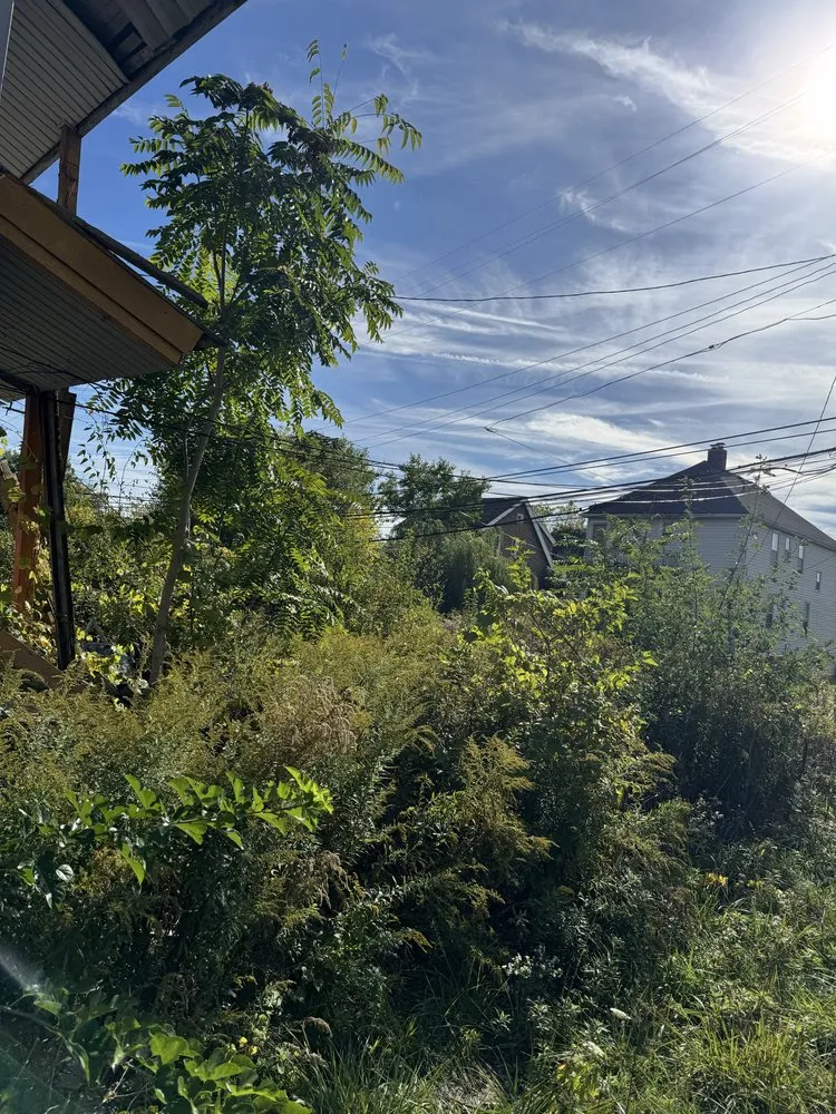 Local lawn care service for residential properties in Detroit, MI by GreenMile Lawncare