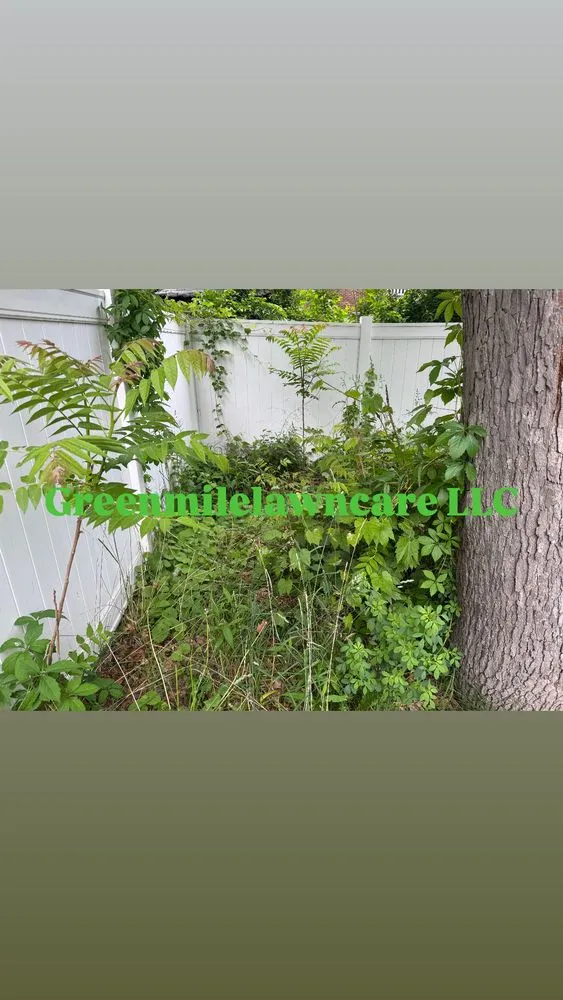 Affordable yard maintenance experts serving Detroit, MI - GreenMile Lawncare