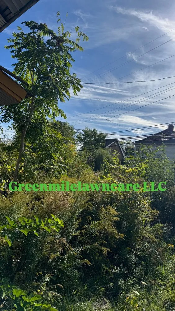 Affordable lawn mowing service for homes across Detroit, MI - GreenMile Lawncare