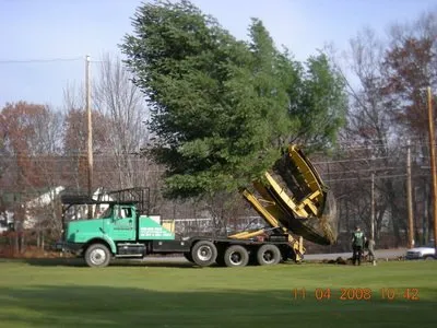 Trusted yard cleanup service experts serving Hudson, NH - Greeno Tree Spade Service