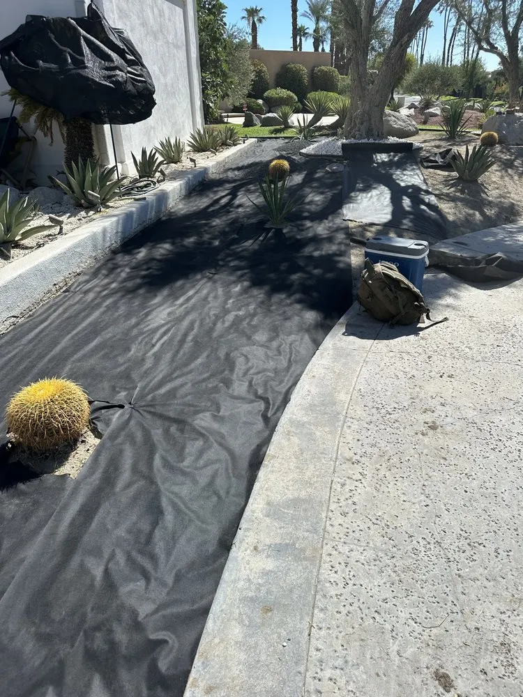 Affordable residential landscaping in Desert Hot Springs, CA by Greenology Landscape
