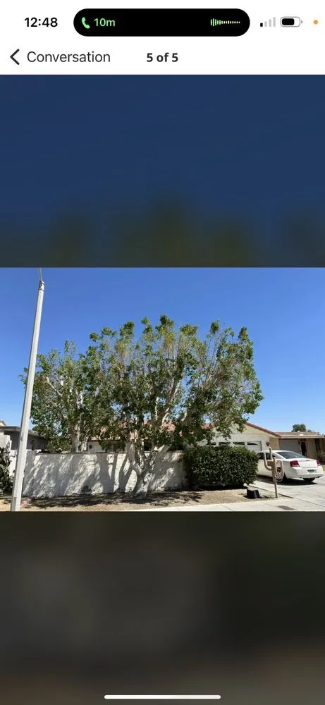 Local lawn care service in Desert Hot Springs, CA - Greenology Landscape