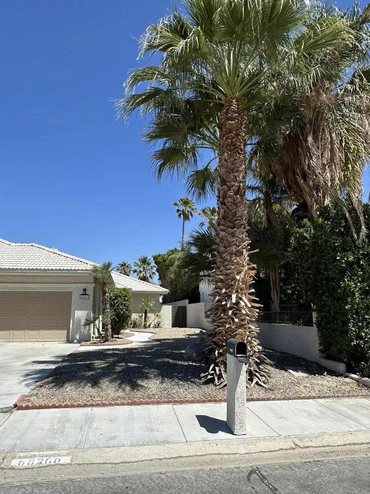 Local outdoor landscaping in Desert Hot Springs, CA - Greenology Landscape