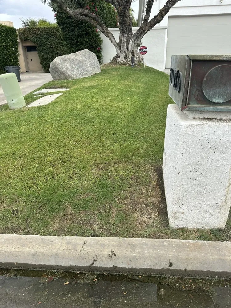 Expert yard cleanup service experts serving Desert Hot Springs, CA - Greenology Landscape