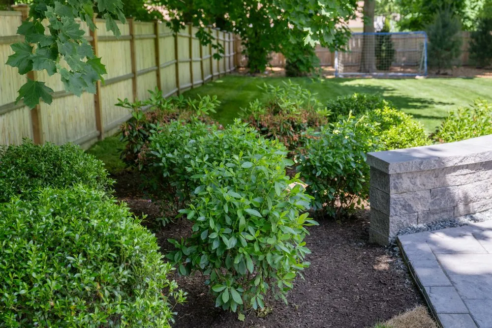 Custom outdoor landscaping in Boston, MA - GreenOp
