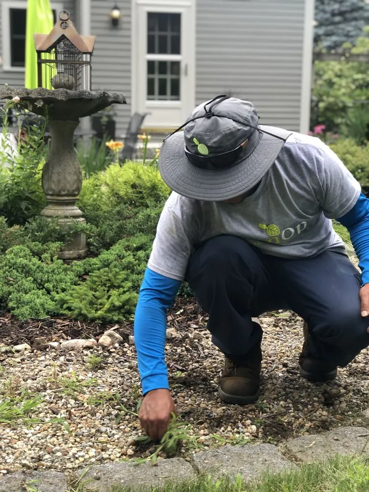Professional outdoor landscaping in Boston, MA by GreenOp