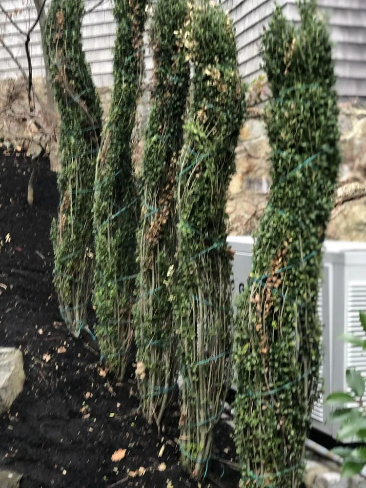 Expert landscape installation in Boston, MA by GreenOp