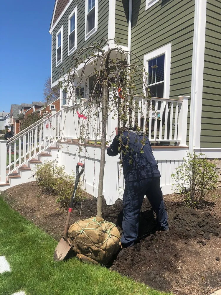 Local lawn care service with custom design in Boston, MA by GreenOp