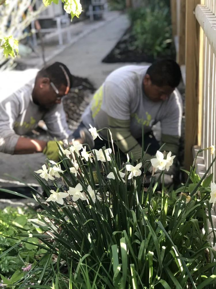 Custom landscape design for residential properties across Boston, MA - GreenOp