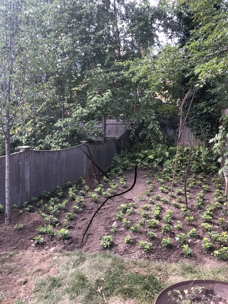 Trusted lawn care service in Boston, MA by GreenOp