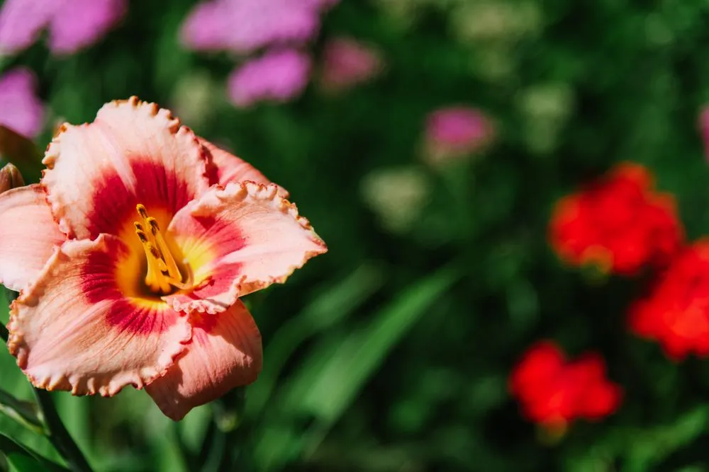 Custom garden landscaping with custom design in Boston, MA by GreenOp