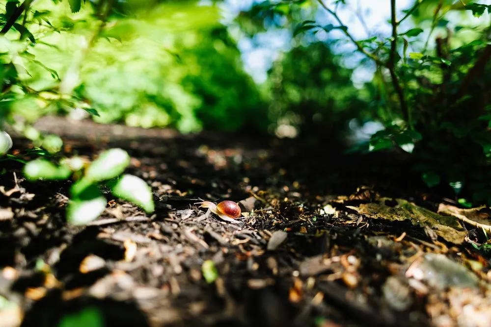 Trusted landscape design in Boston, MA by GreenOp