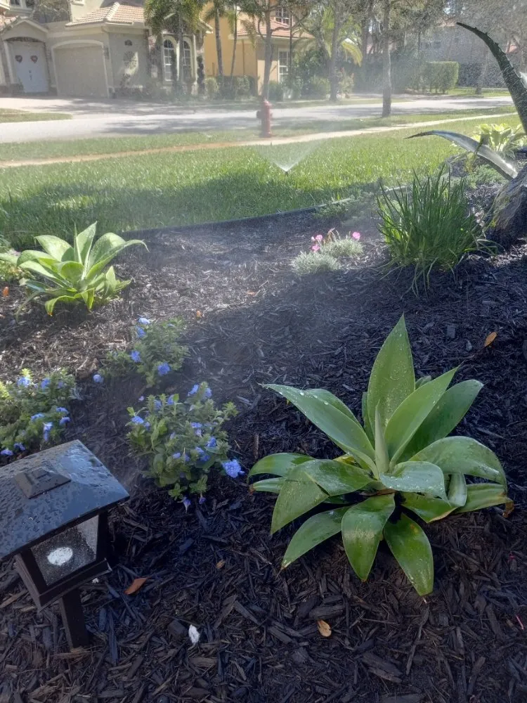 Custom yard maintenance for year-round maintenance in West Palm Beach, FL by Greenops Land Works