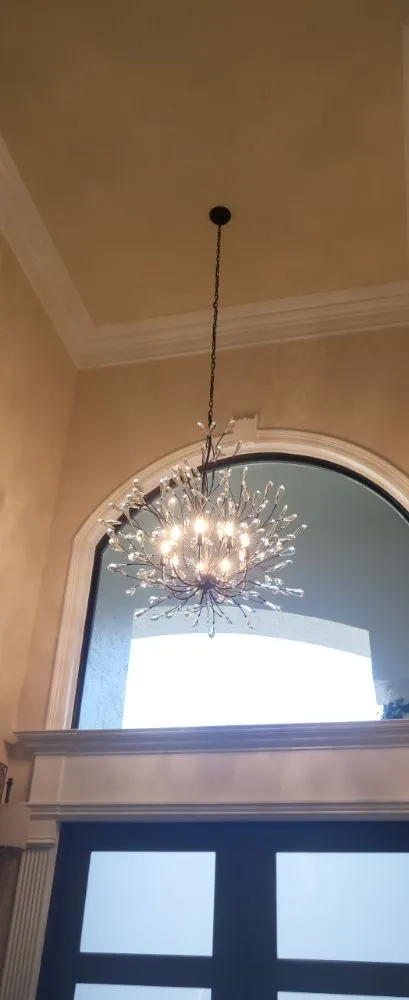 Top-rated yard maintenance in West Palm Beach, FL - Greenops Land Works