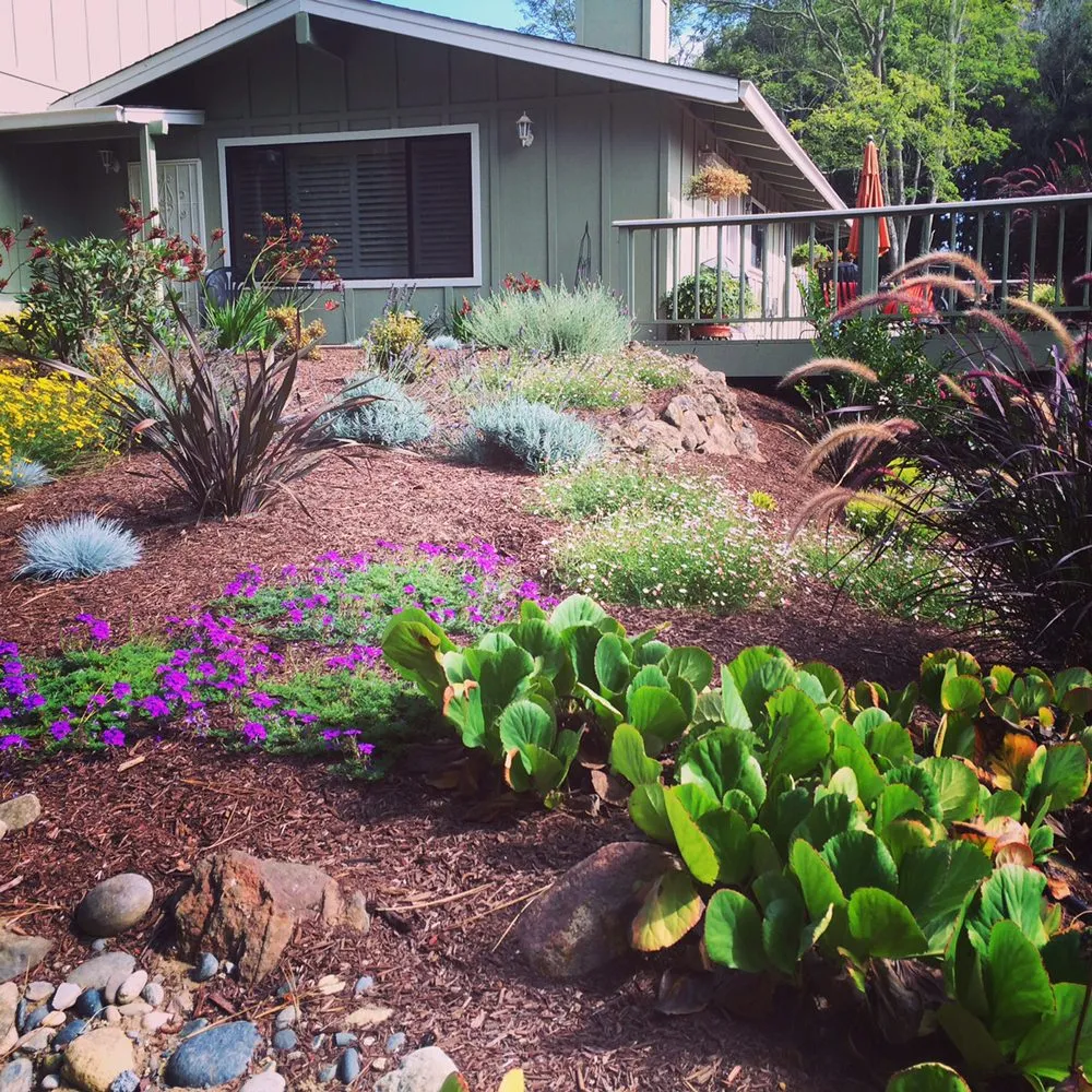 Top-rated yard maintenance for outdoor upgrades across Soquel, CA - GreenOuse Landscape & Design