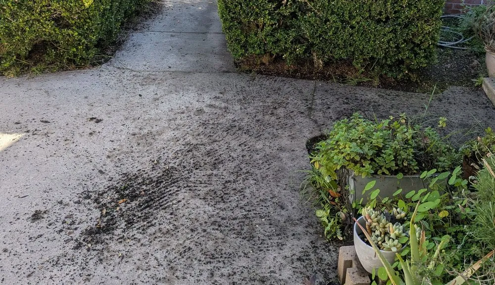 Top-rated residential landscaping in Soquel, CA by GreenOuse Landscape & Design