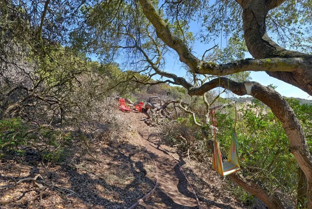 Top-rated yard maintenance near you across Soquel, CA - GreenOuse Landscape & Design