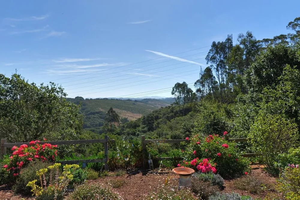 Professional garden landscaping experts serving Soquel, CA - GreenOuse Landscape & Design