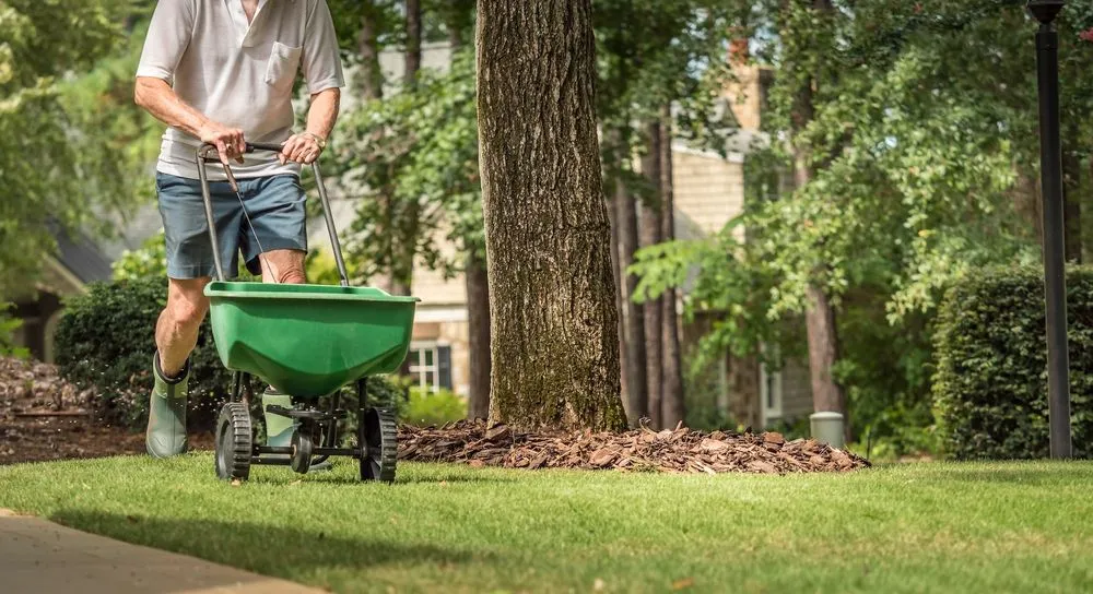 Trusted yard cleanup service experts serving Youngstown, OH - Greenova Fertilization