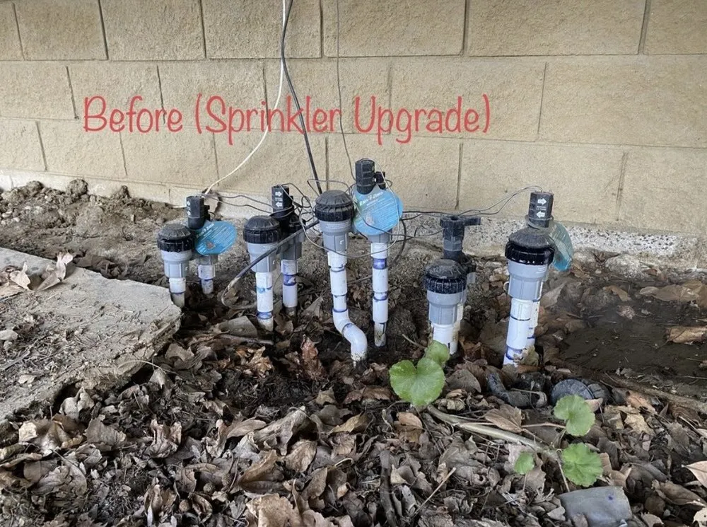 Trusted outdoor landscaping experts serving Rialto, CA - Greenovation Landscape Services