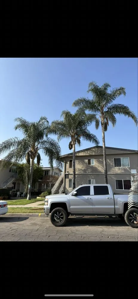 Custom yard cleanup service in Rialto, CA by Greenovation Landscape Services