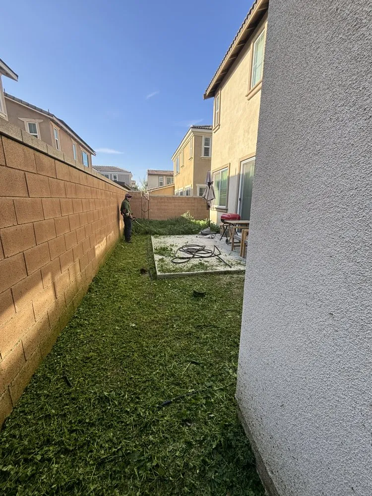 Custom residential landscaping for outdoor upgrades in Rialto, CA by Greenovation Landscape Services