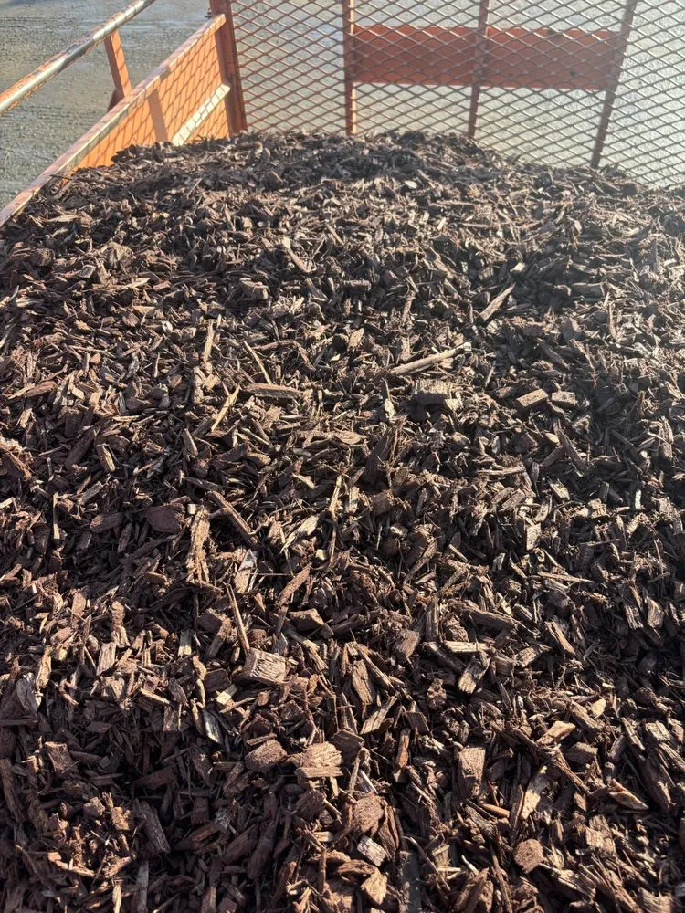 Professional garden landscaping for homes in Rialto, CA by Greenovation Landscape Services