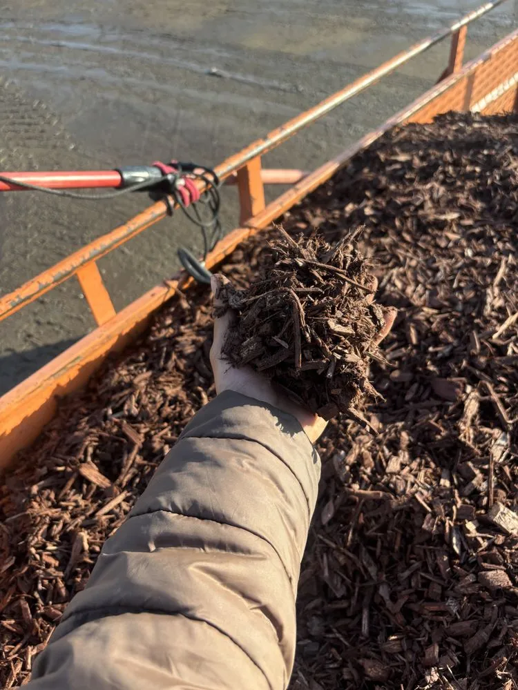 Reliable residential landscaping in Rialto, CA - Greenovation Landscape Services