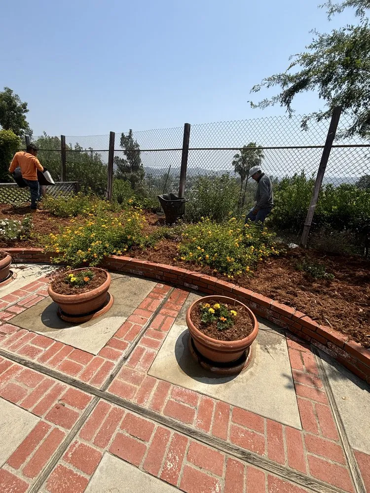 Professional yard cleanup service with custom design in Rialto, CA by Greenovation Landscape Services