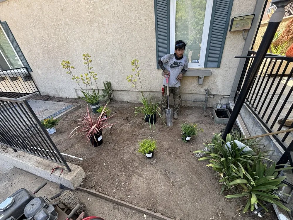 Trusted lawn care service experts serving Rialto, CA - Greenovation Landscape Services