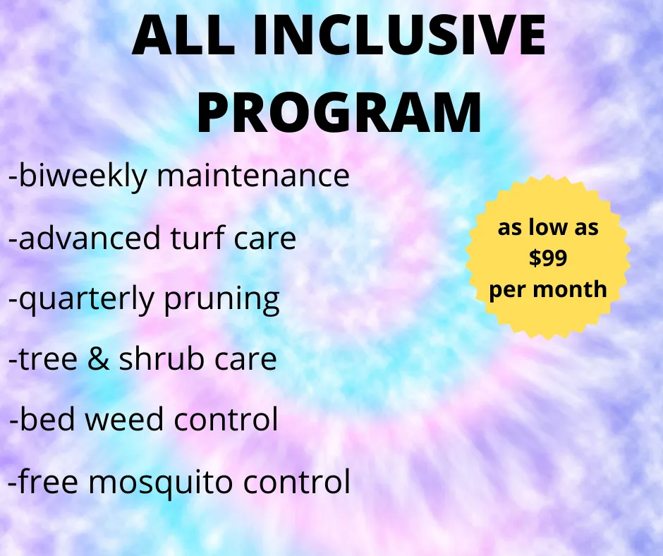 Top-rated landscape installation for beautiful yards in Wallace, NC by Greenpeace LLPM