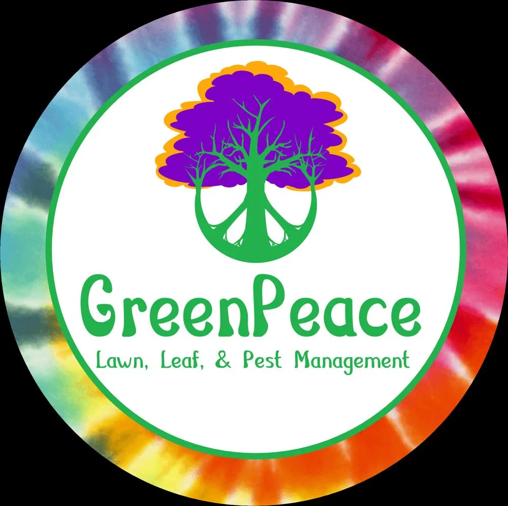 Affordable landscape design in Wallace, NC by Greenpeace LLPM