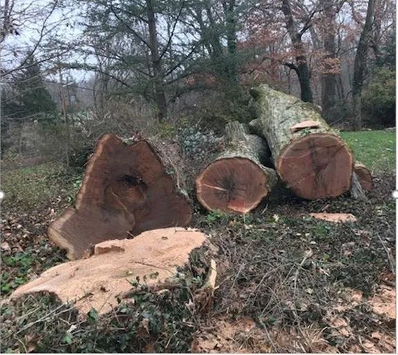 Top-rated lawn care service for beautiful yards across Kennett Square, PA - Greenpine Lawn Service