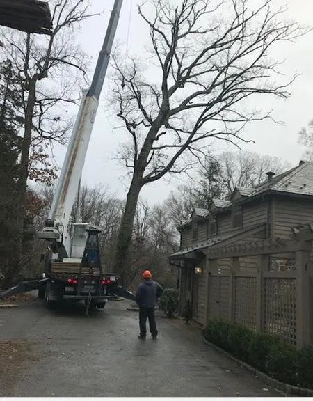 Expert residential landscaping experts serving Kennett Square, PA - Greenpine Lawn Service