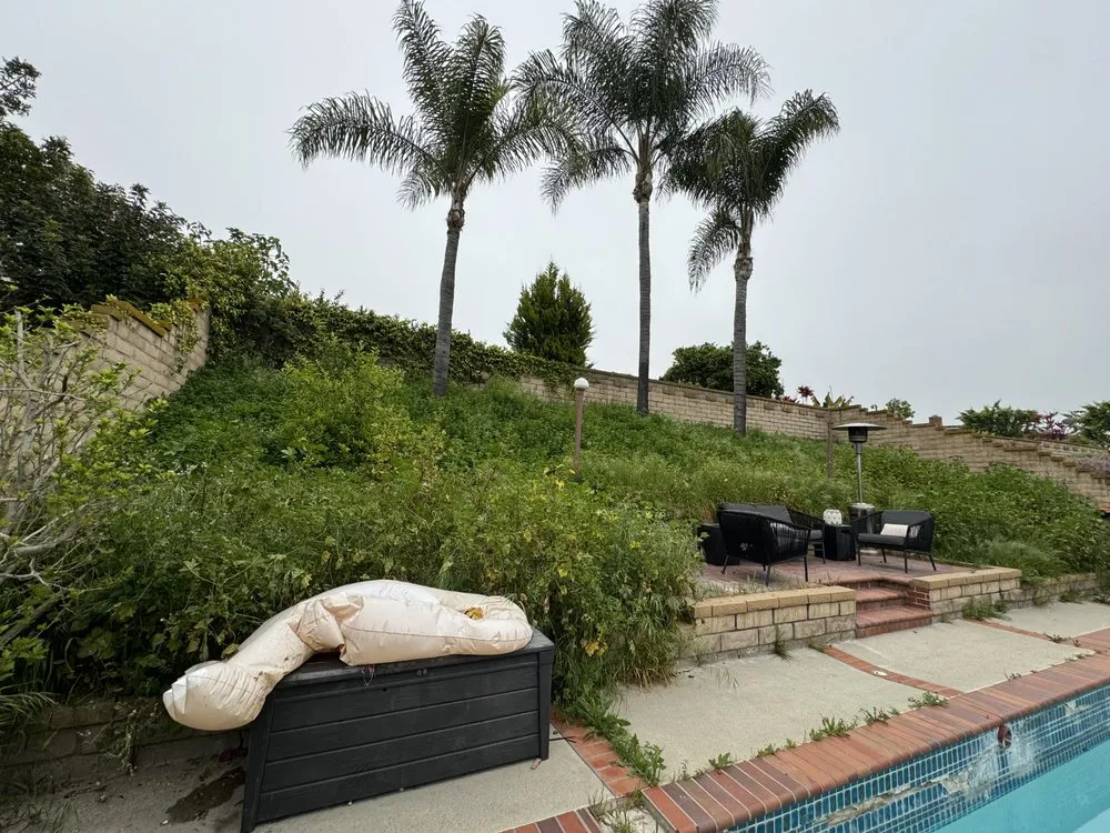 Local lawn care service experts serving Costa Mesa, CA - Greenplace